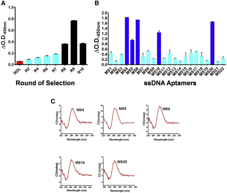 Figure 2