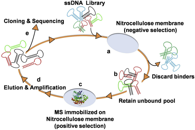 Figure 1