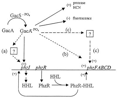 FIG. 1