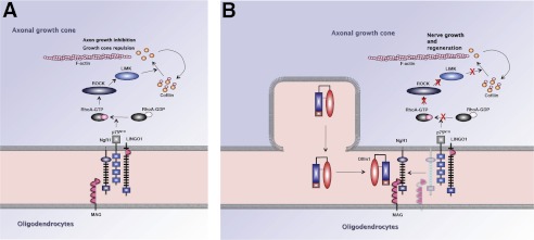 FIGURE 9.