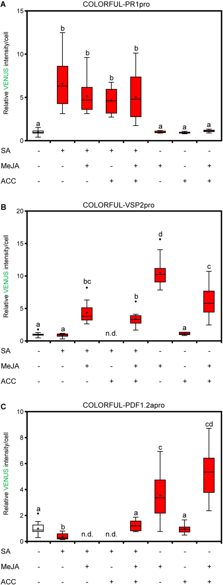 FIGURE 3