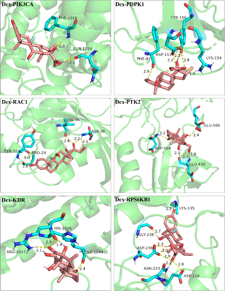 Figure 7