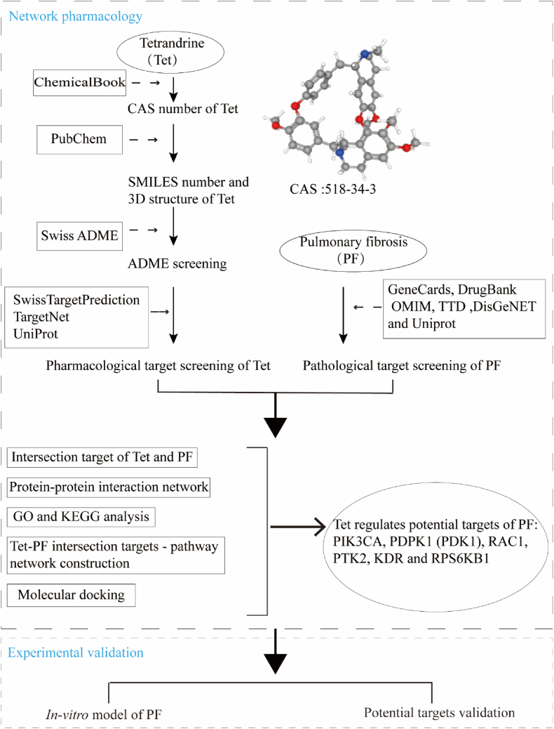 Figure 1