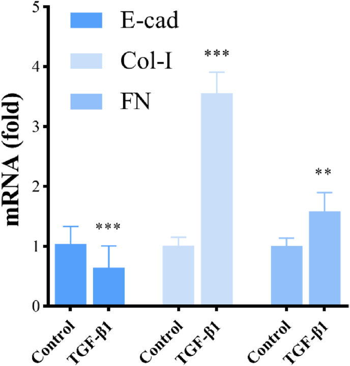 Figure 10