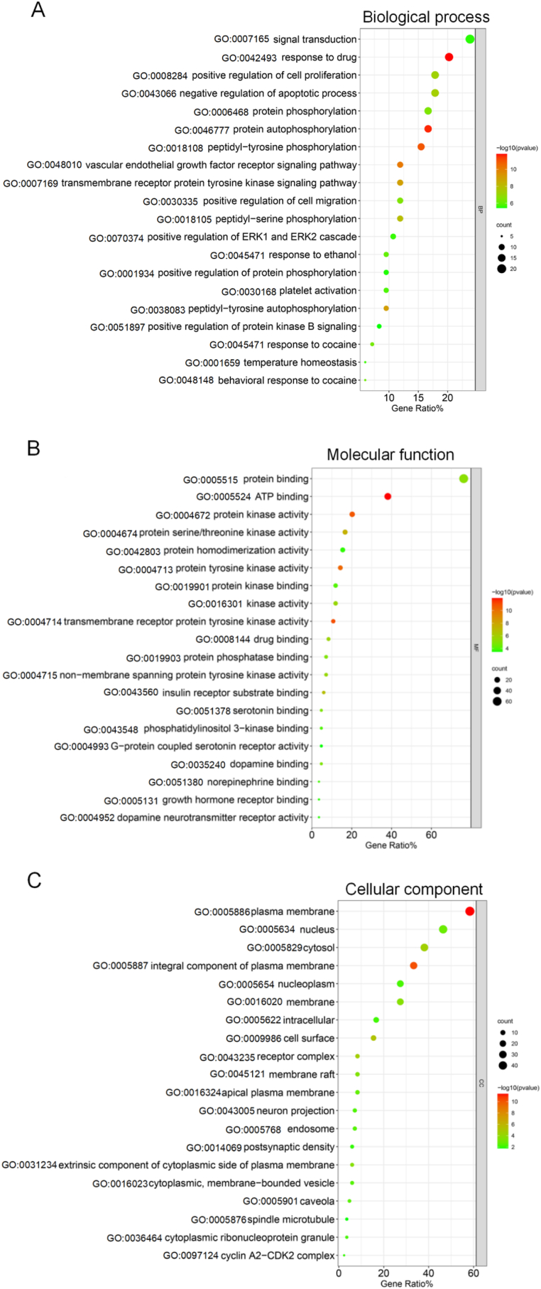 Figure 4