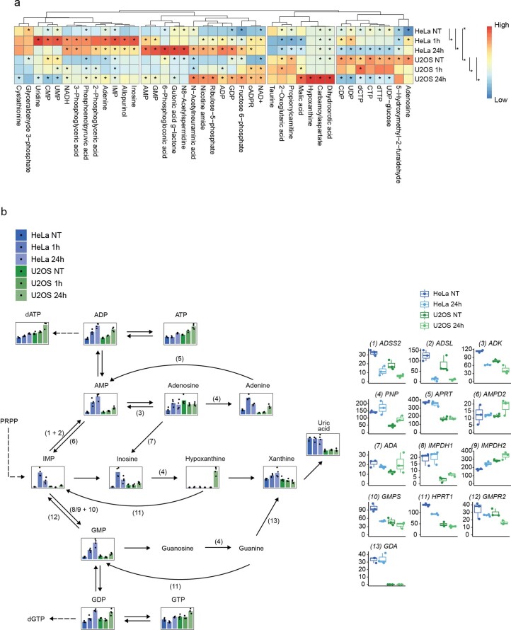 Extended Data Fig. 5