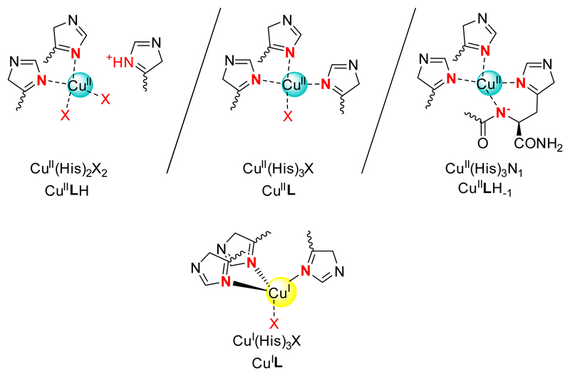 Scheme 3