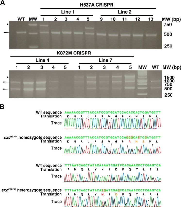 Figure 2.