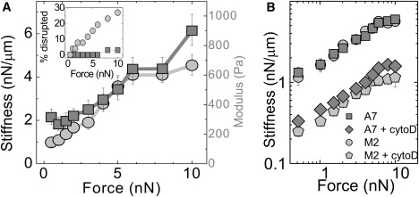 Figure 7