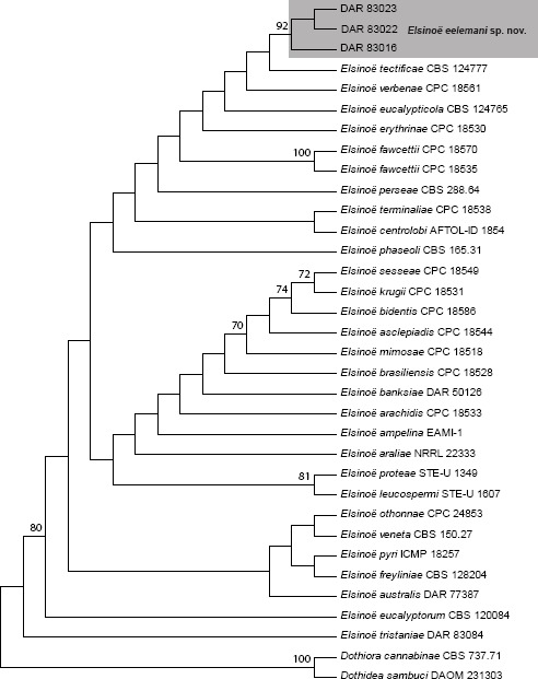 graphic file with name per-37-218-i004.jpg