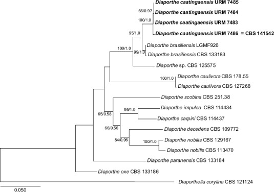 graphic file with name per-37-218-i014.jpg