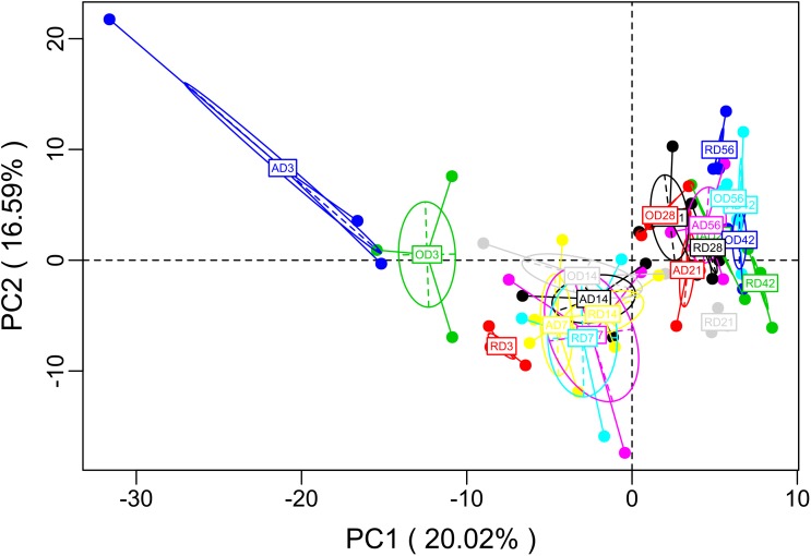 FIGURE 3