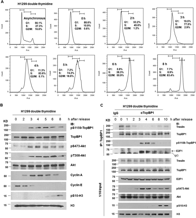 FIG 2