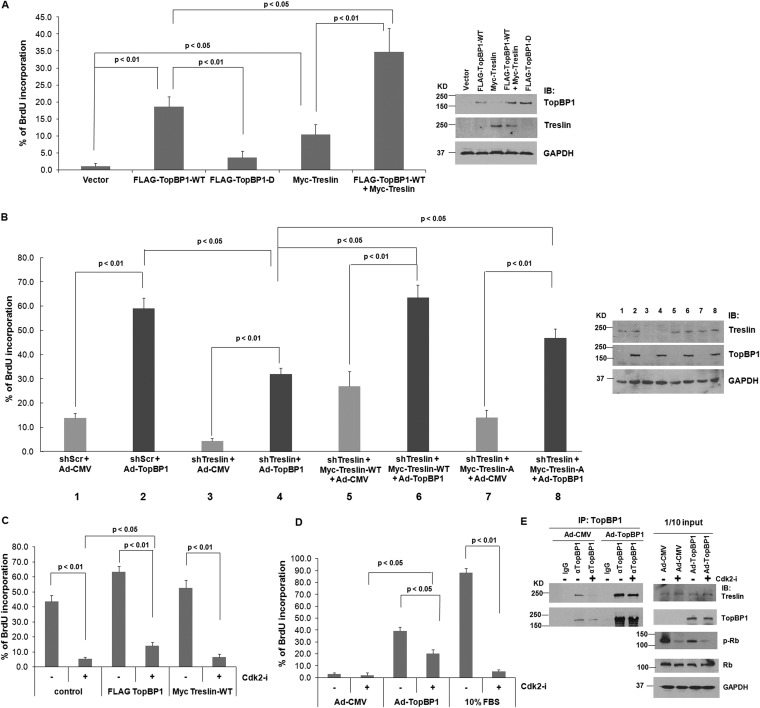 FIG 6