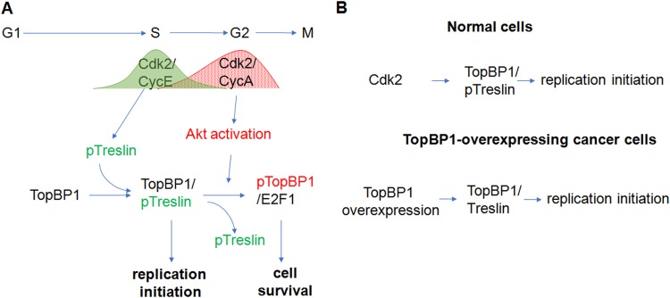 FIG 10