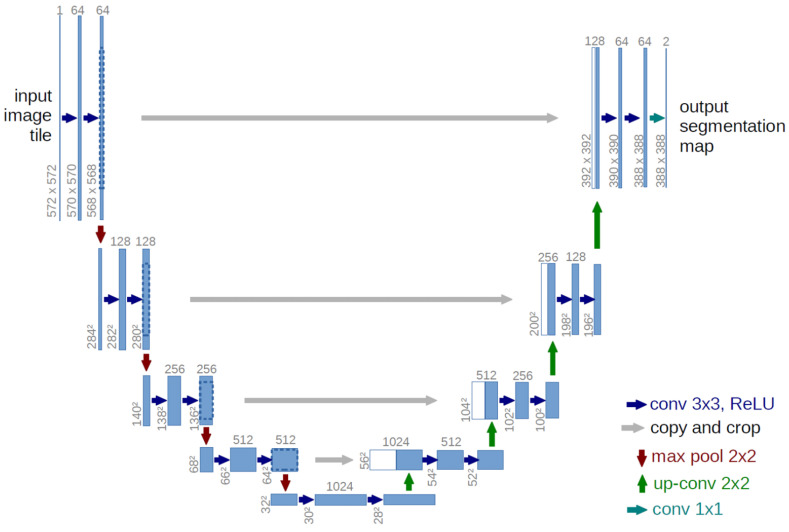 Figure 30