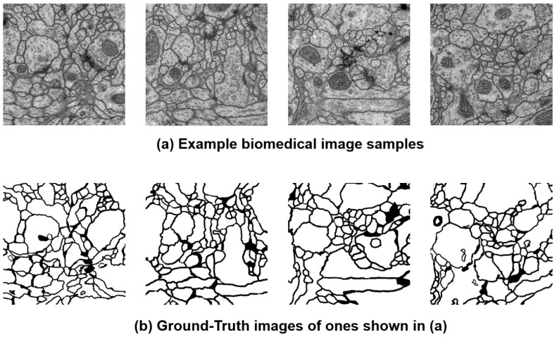 Figure 31