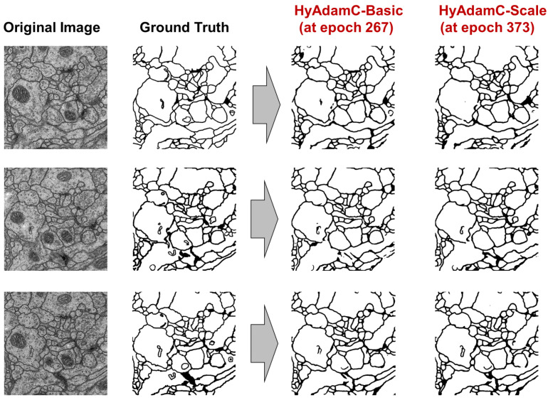 Figure 33