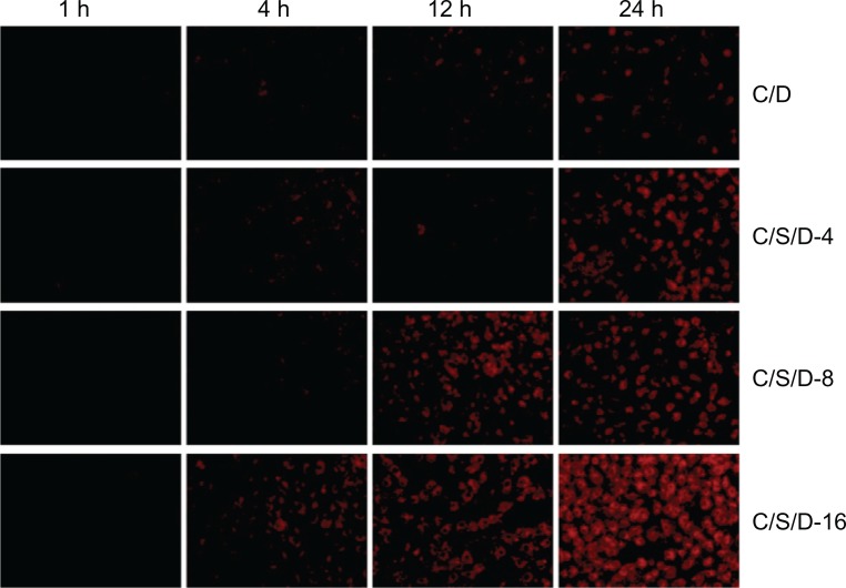 Figure 6