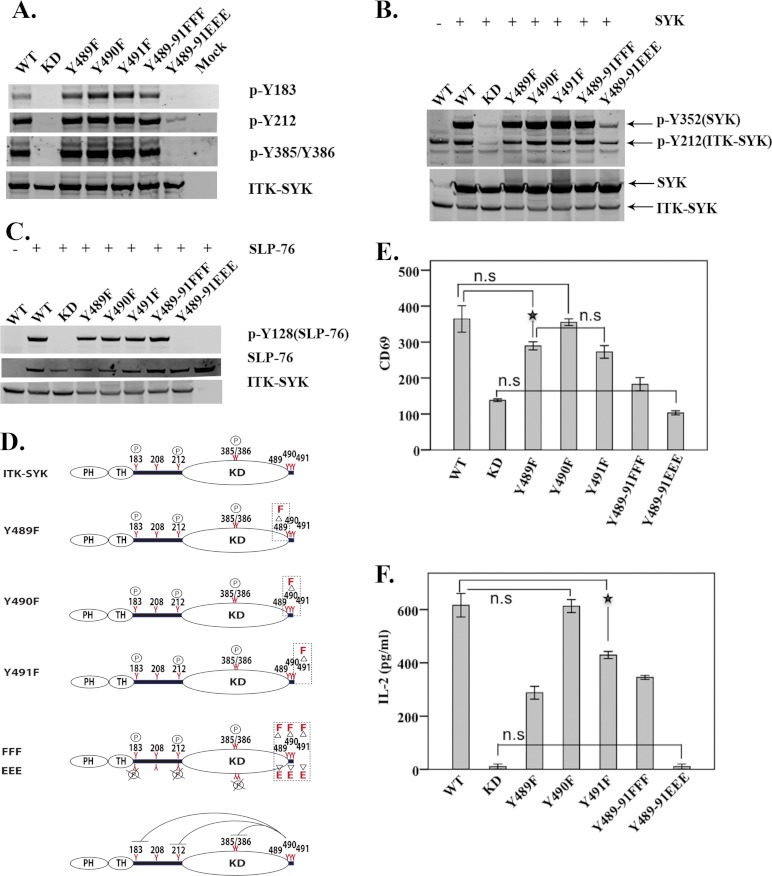 FIGURE 4.