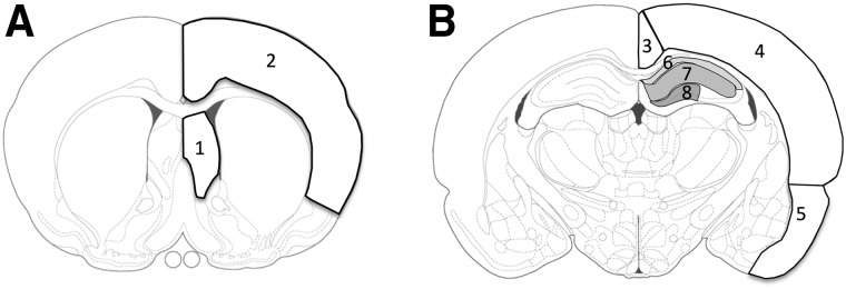 FIG. 1.