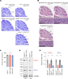 Figure 2—figure supplement 2.