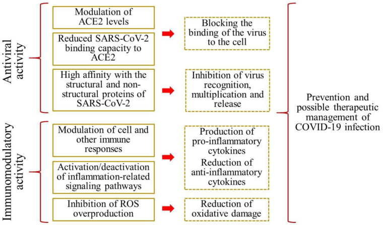 Figure 3