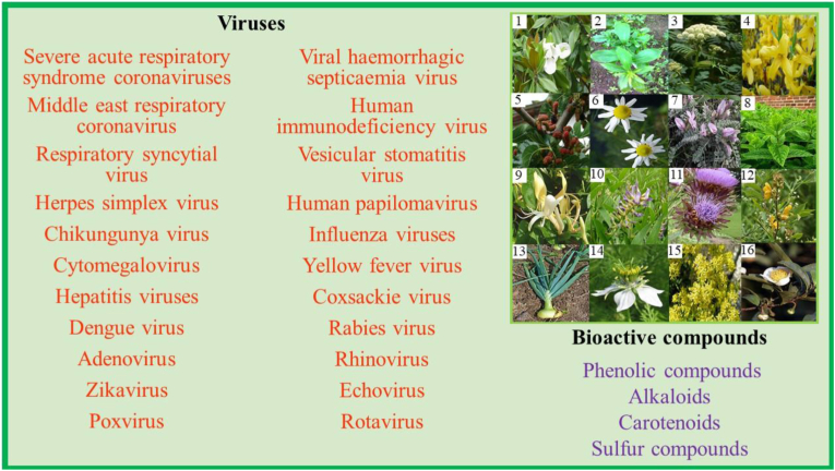 Figure 1