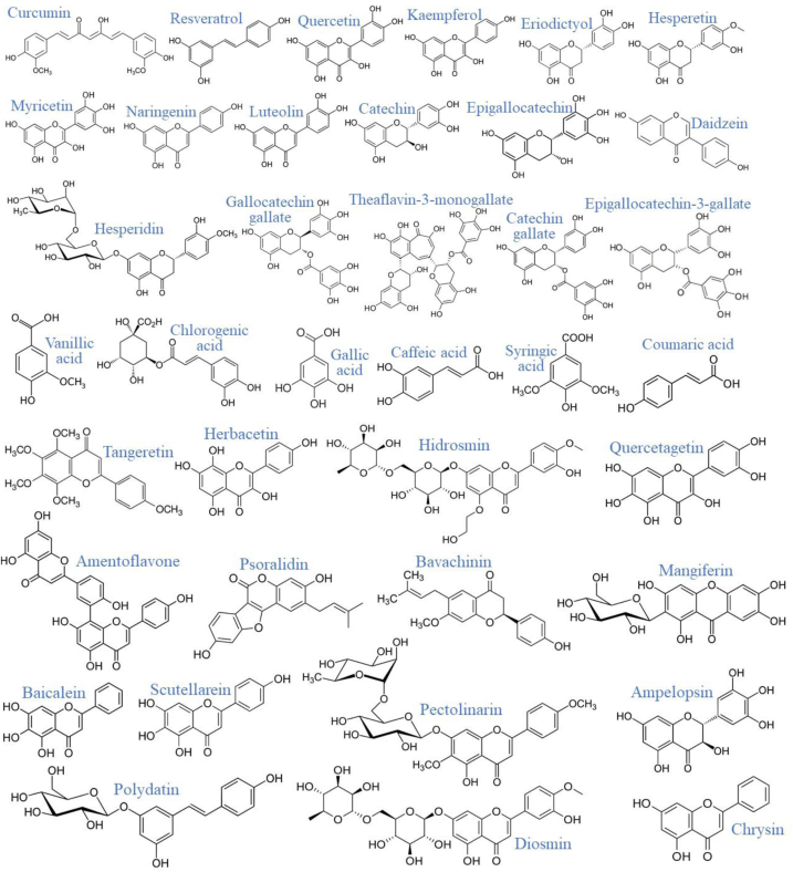 Figure 2