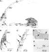FIG. 11.