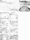 FIG. 9.