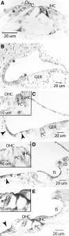 FIG. 10.