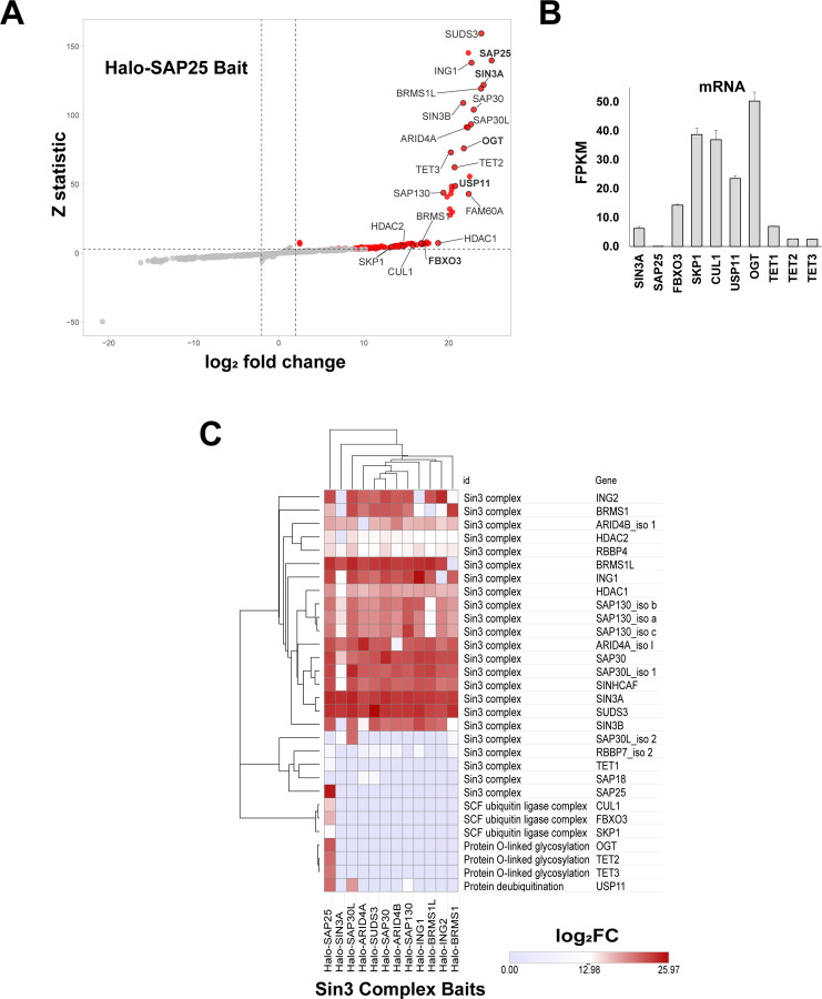 Figure 1: