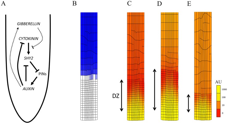 Figure 9