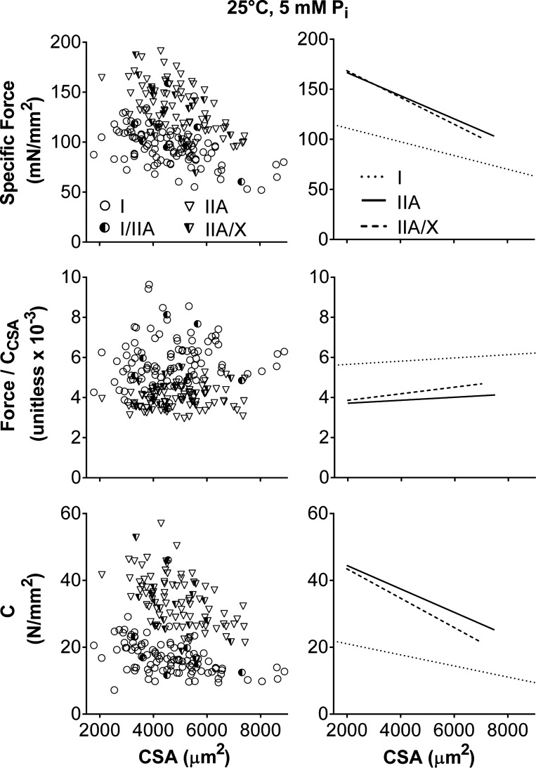 Fig. 10.