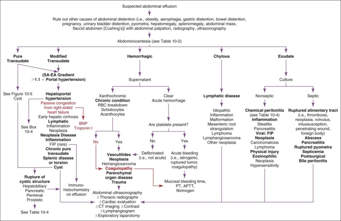 FIGURE 10-4