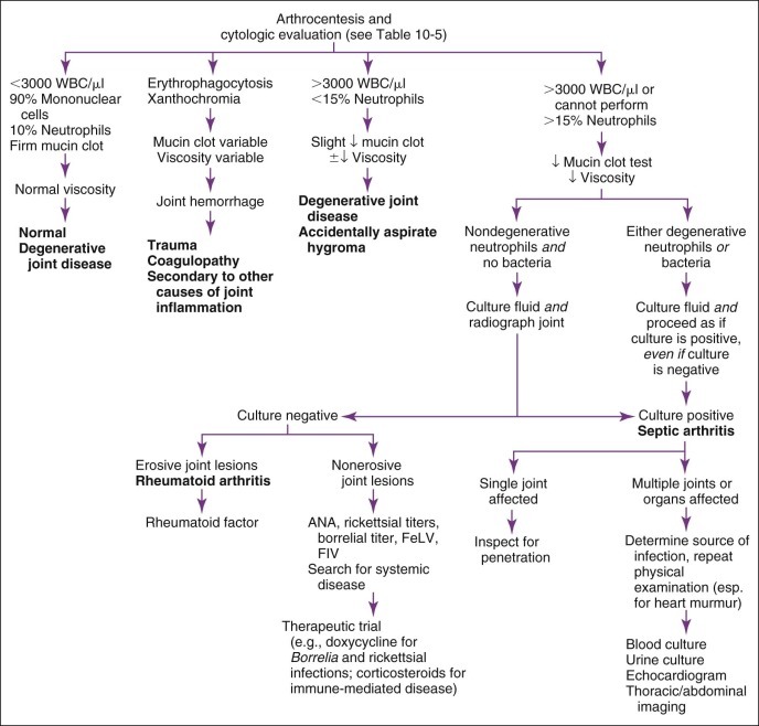 FIGURE 10-15