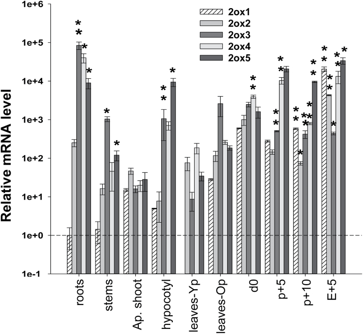 Fig. 4.