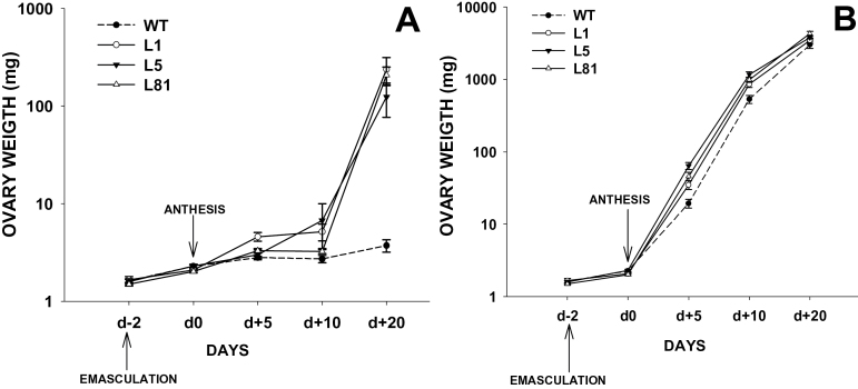 Fig. 6.