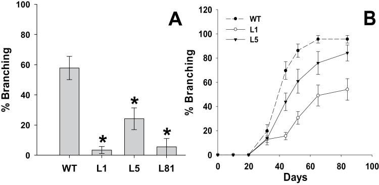 Fig. 8.