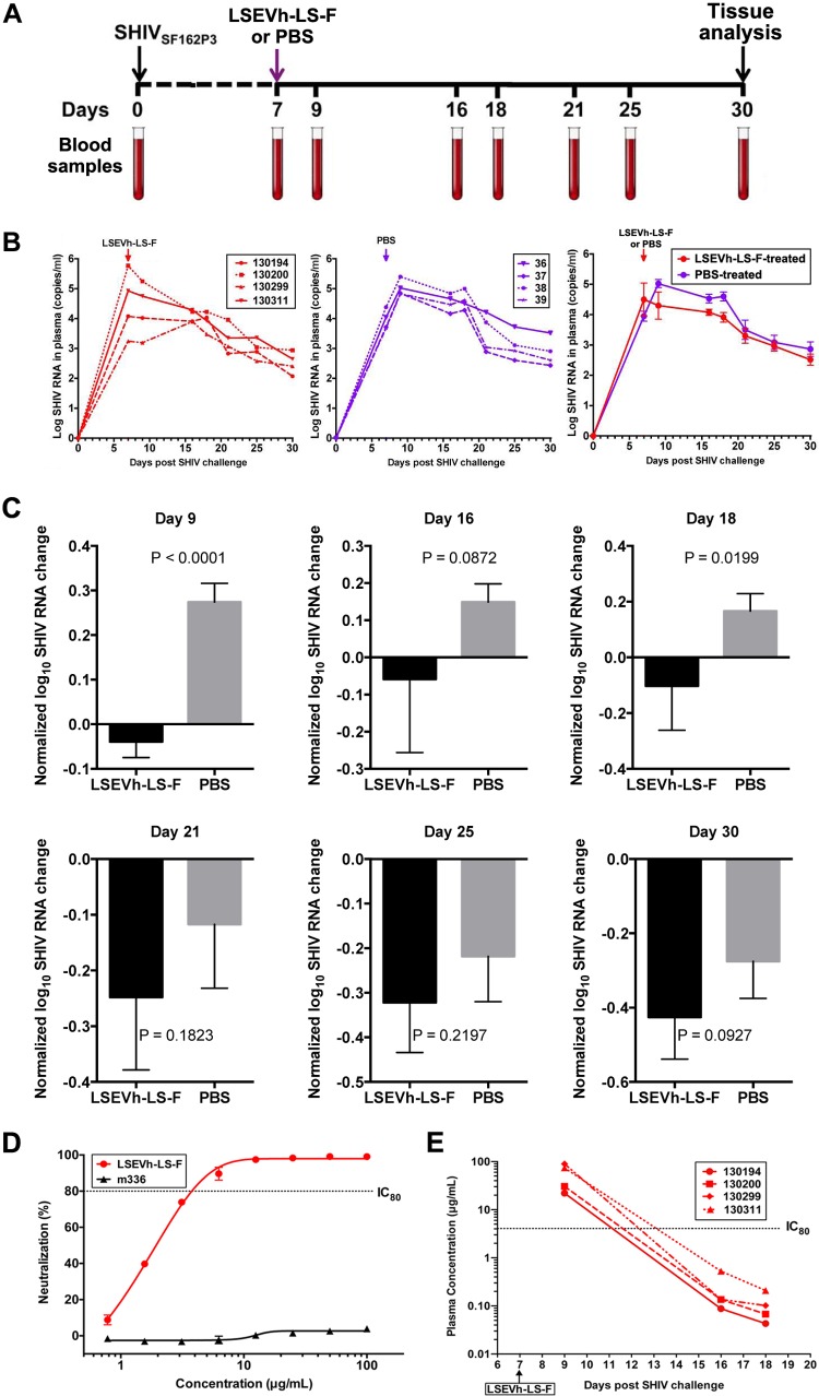 FIG 6