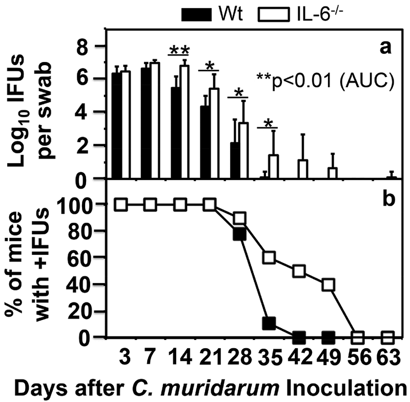 Fig.3.