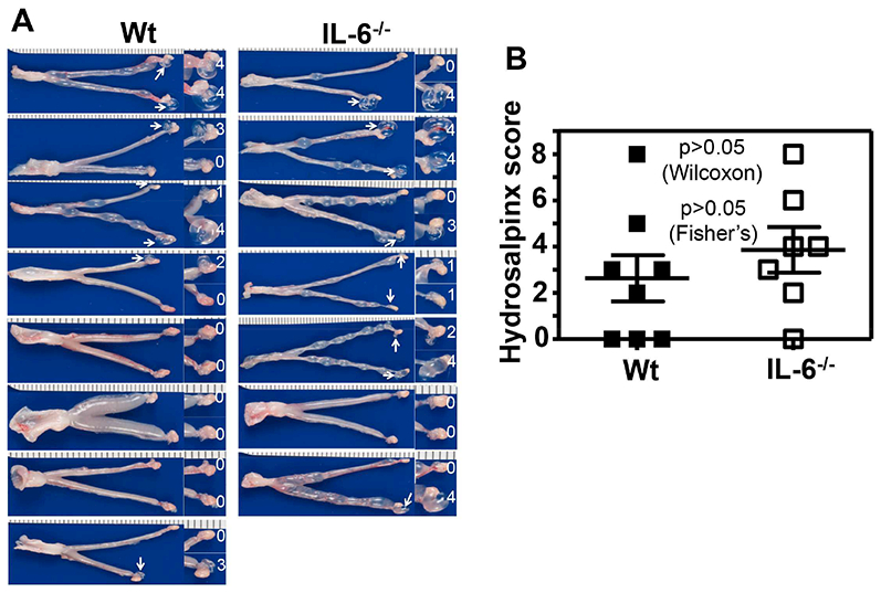 Fig.2.