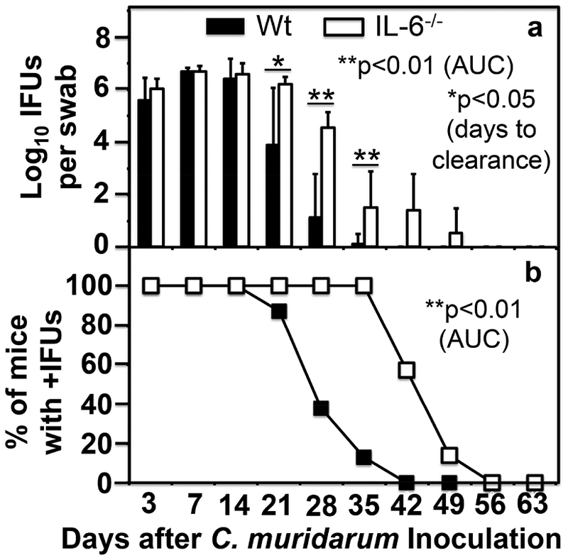 Fig.1.