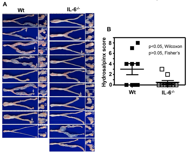 Fig.4.