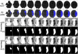 Fig 13