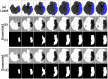 Fig 14