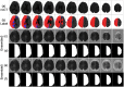 Fig 15