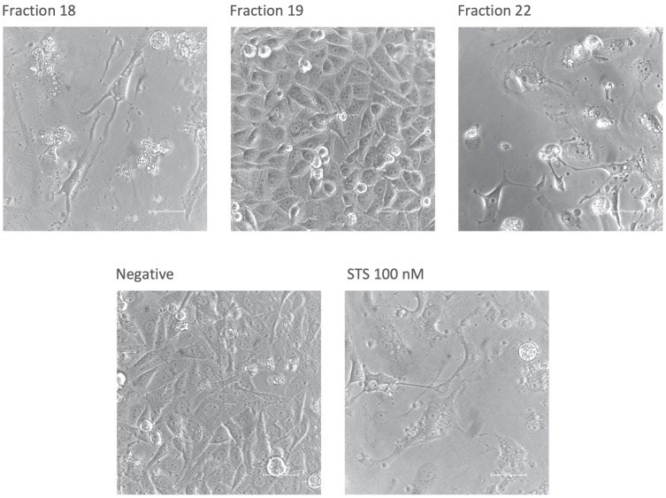 Figure 3