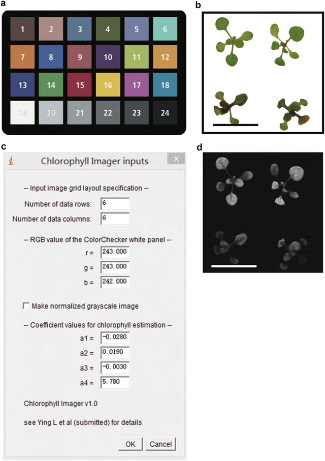 Fig. 1